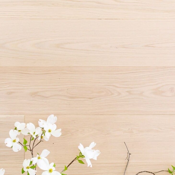 White oak floors with a branch of white blooming dogwood laying across.