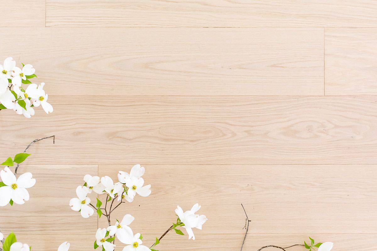 A Complete Guide To White Oak Floors