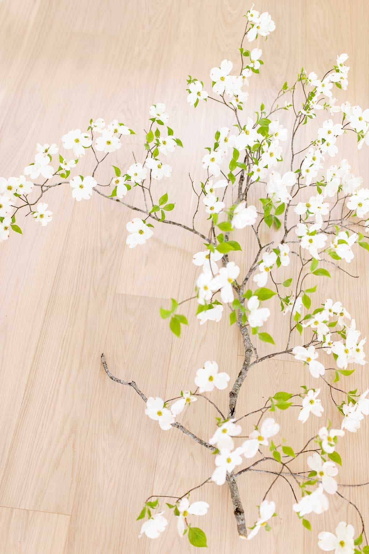 White oak floors with a branch of white blooming dogwood laying across.