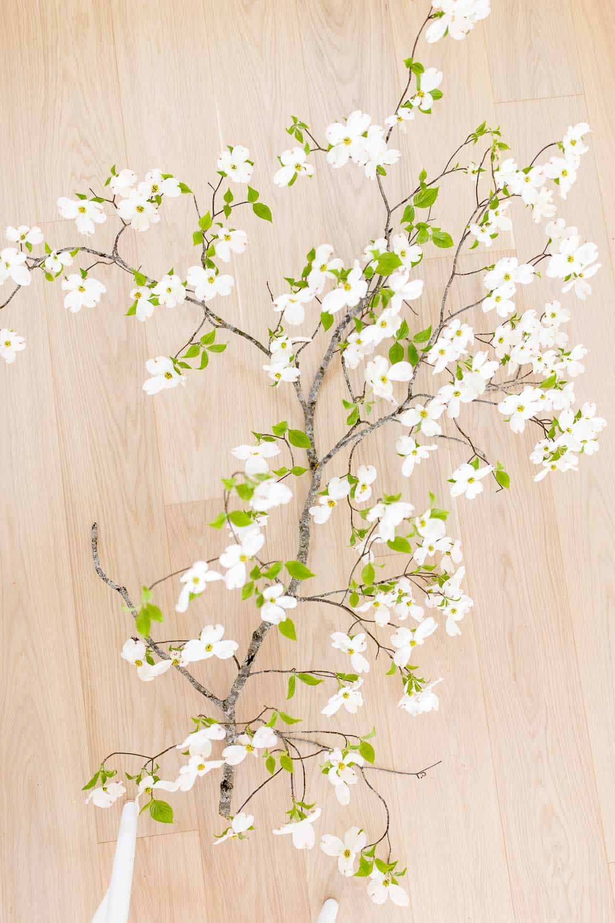 White oak floors with a branch of white blooming dogwood laying across.