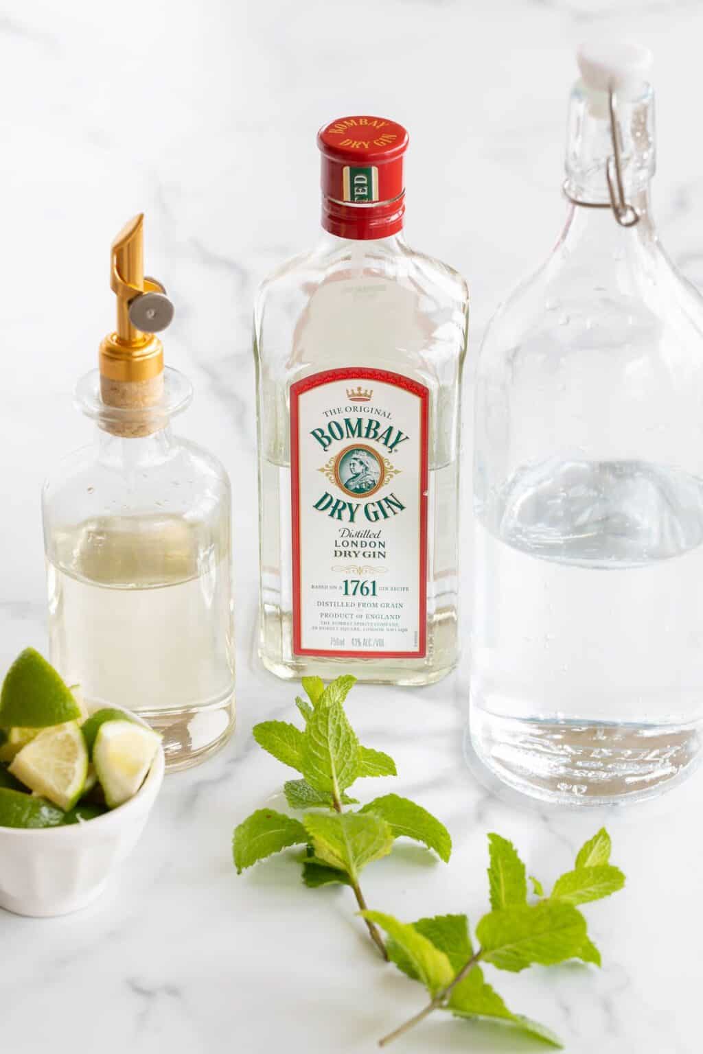 The Best Gin Mojito Recipe | Julie Blanner