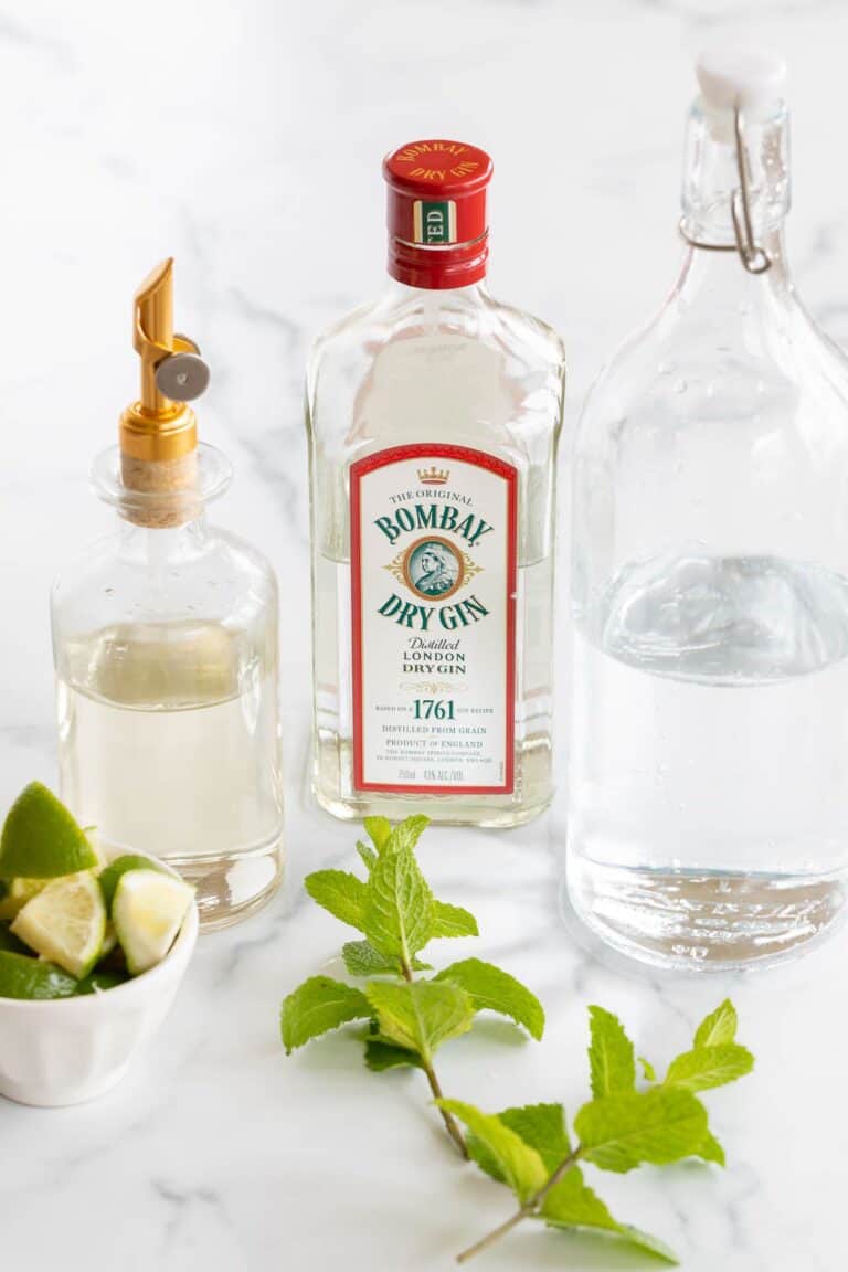 The Best Gin Mojito Recipe Julie Blanner