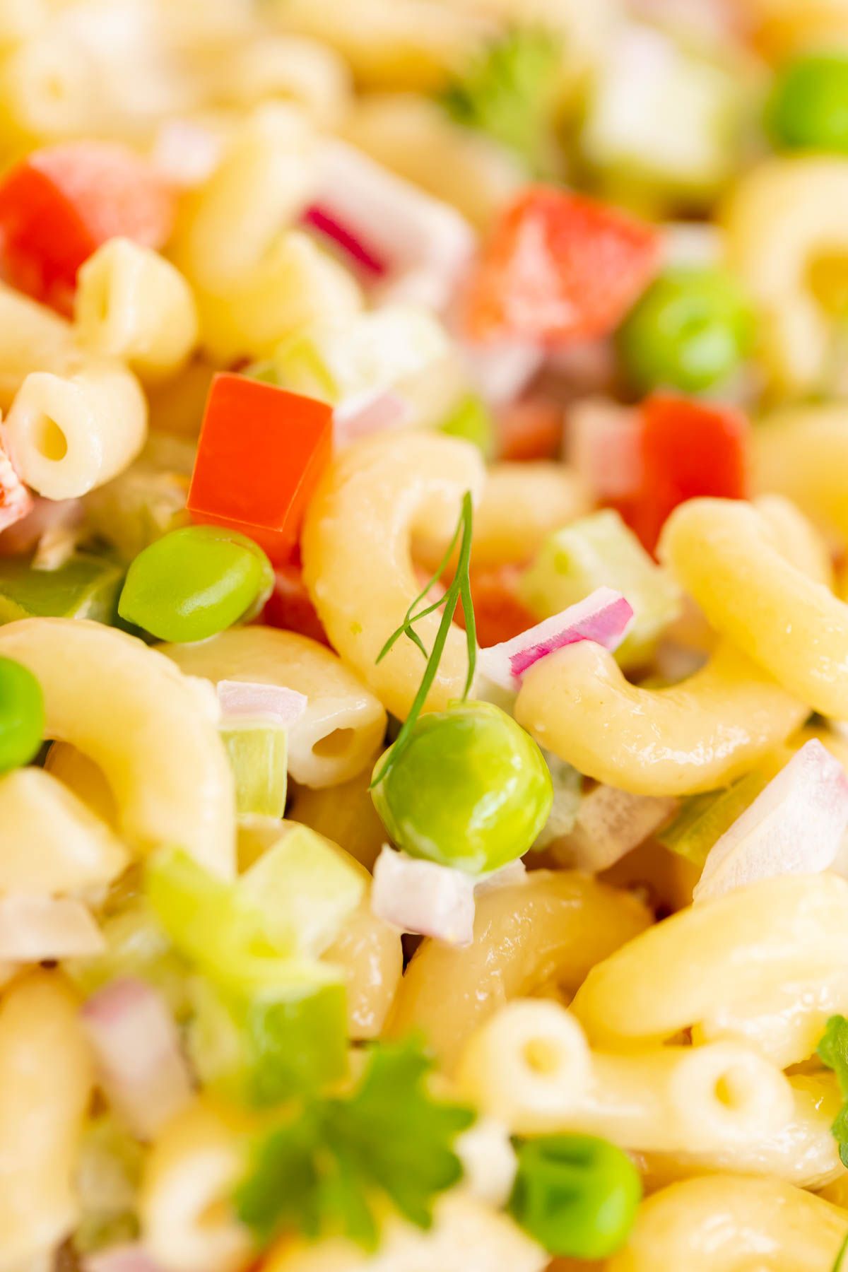 Close up of macaroni salad recipe with fresh vegetables. 