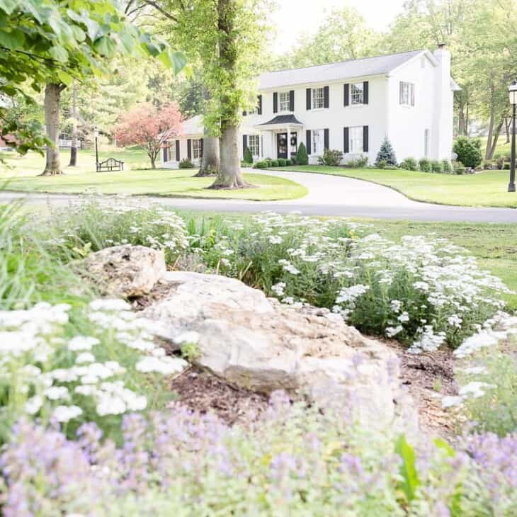 A colonial brick house painted in Benjamin Moore Simply White, flowers in the foreground of image.