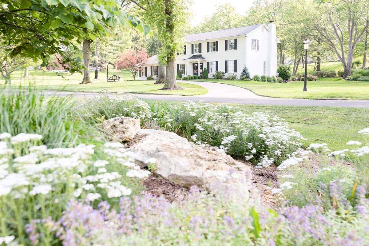 A colonial brick house painted in Benjamin Moore Simply White, flowers in the foreground of image.