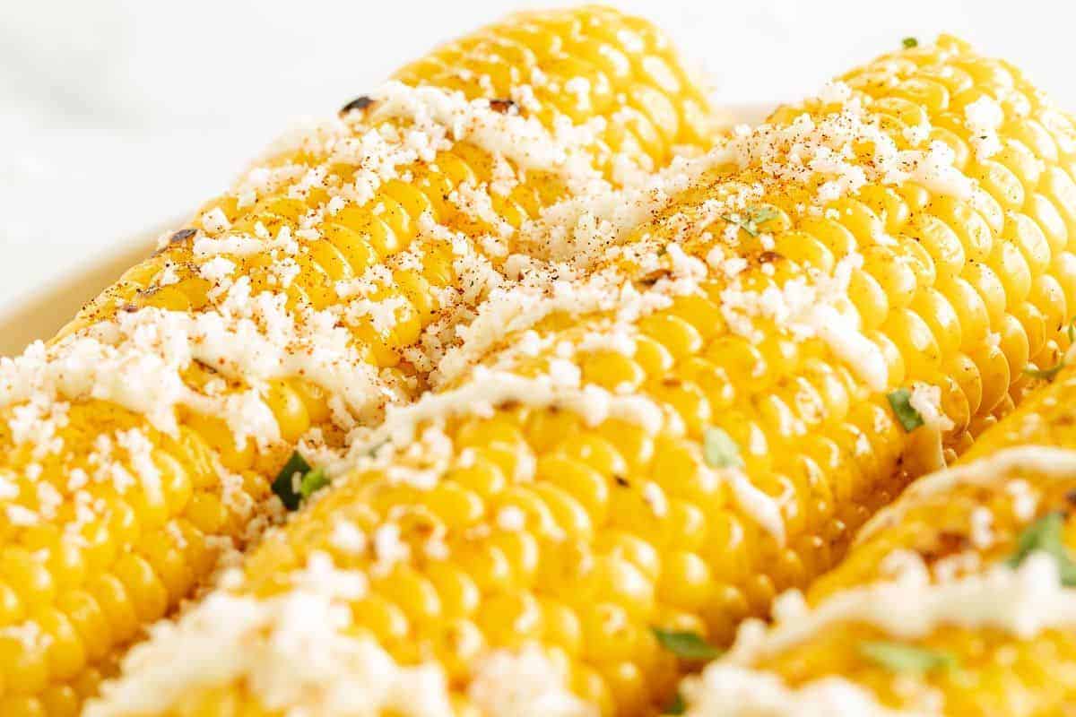 Elote Seasoning - The Endless Meal®