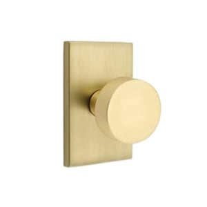 a brass door knob on a rectangular brass door plate
