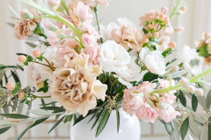 Close up of antique carnation dianthus caryophyllus and more blooms in shades of beige and cream in a white vase.
