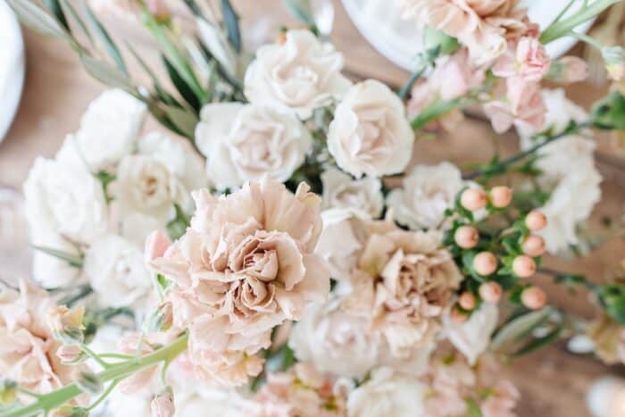 dianthus caryophyllus in a vase arrangement of antique and cream colors.