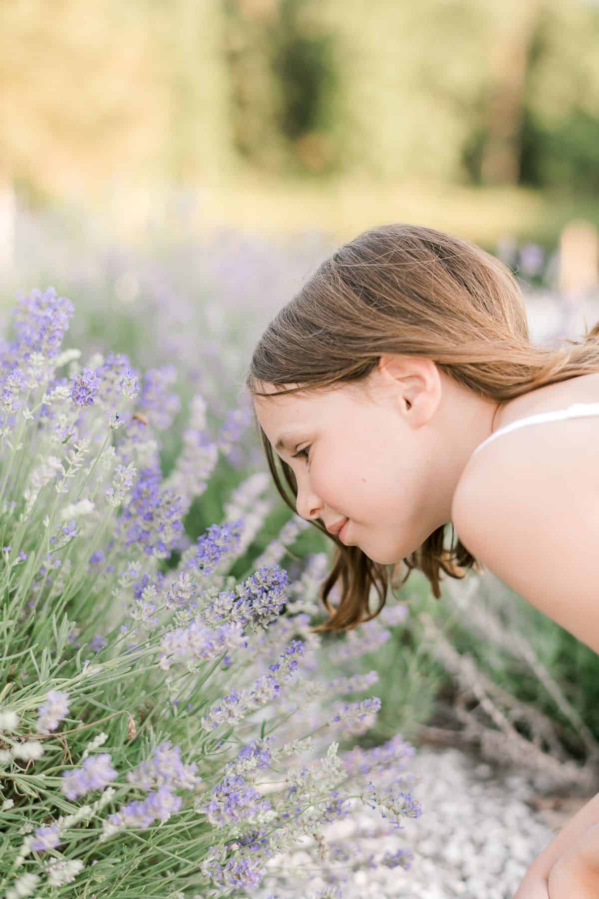 A little girl leaning in to sniff English lavender growing in a field.