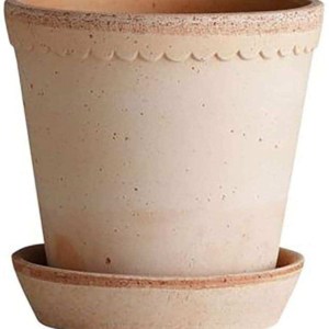 pink scallop pot