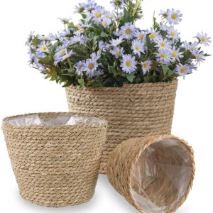 3 seagrass planters with flowers