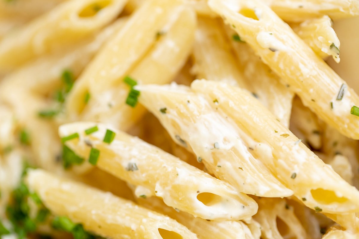Close up of Boursin cheese pasta with penne.