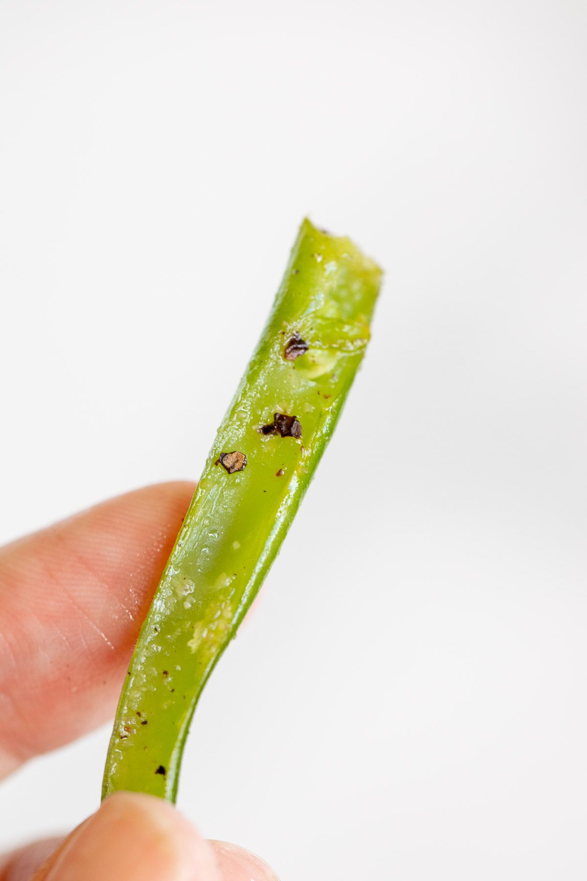 A hand holding a single french cut green bean with seasoning.