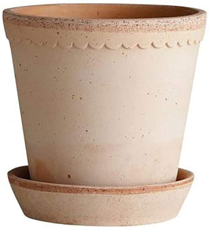 A small terra cotta pot with scalloped edges