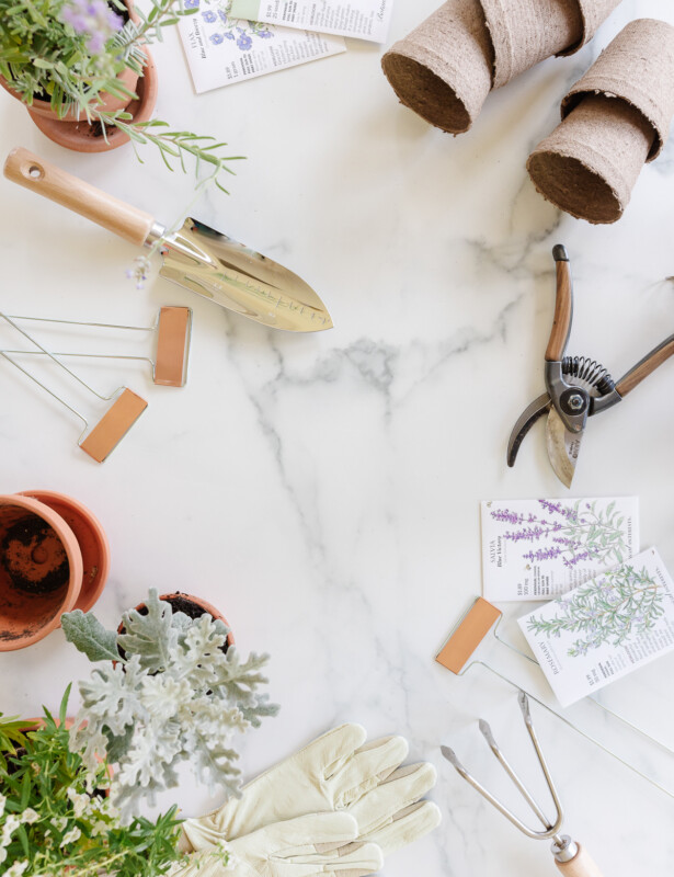 gardening tools and accessories displayed on marble