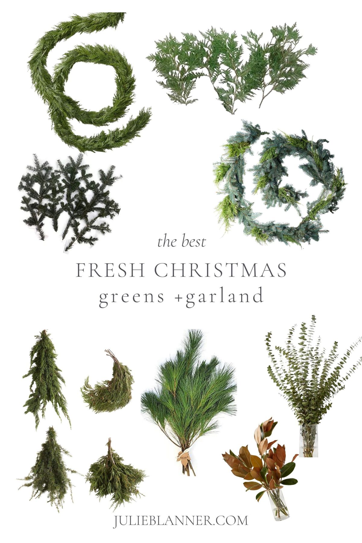 A graphic with a white background full of fresh Christmas greens and greenery garlands