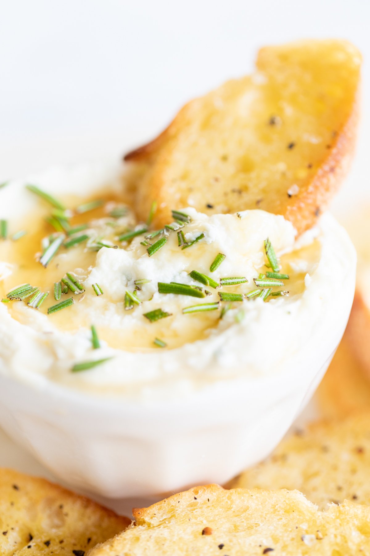 Whipped goat cheese surrounded by crostini for a Thanksgiving appetizer