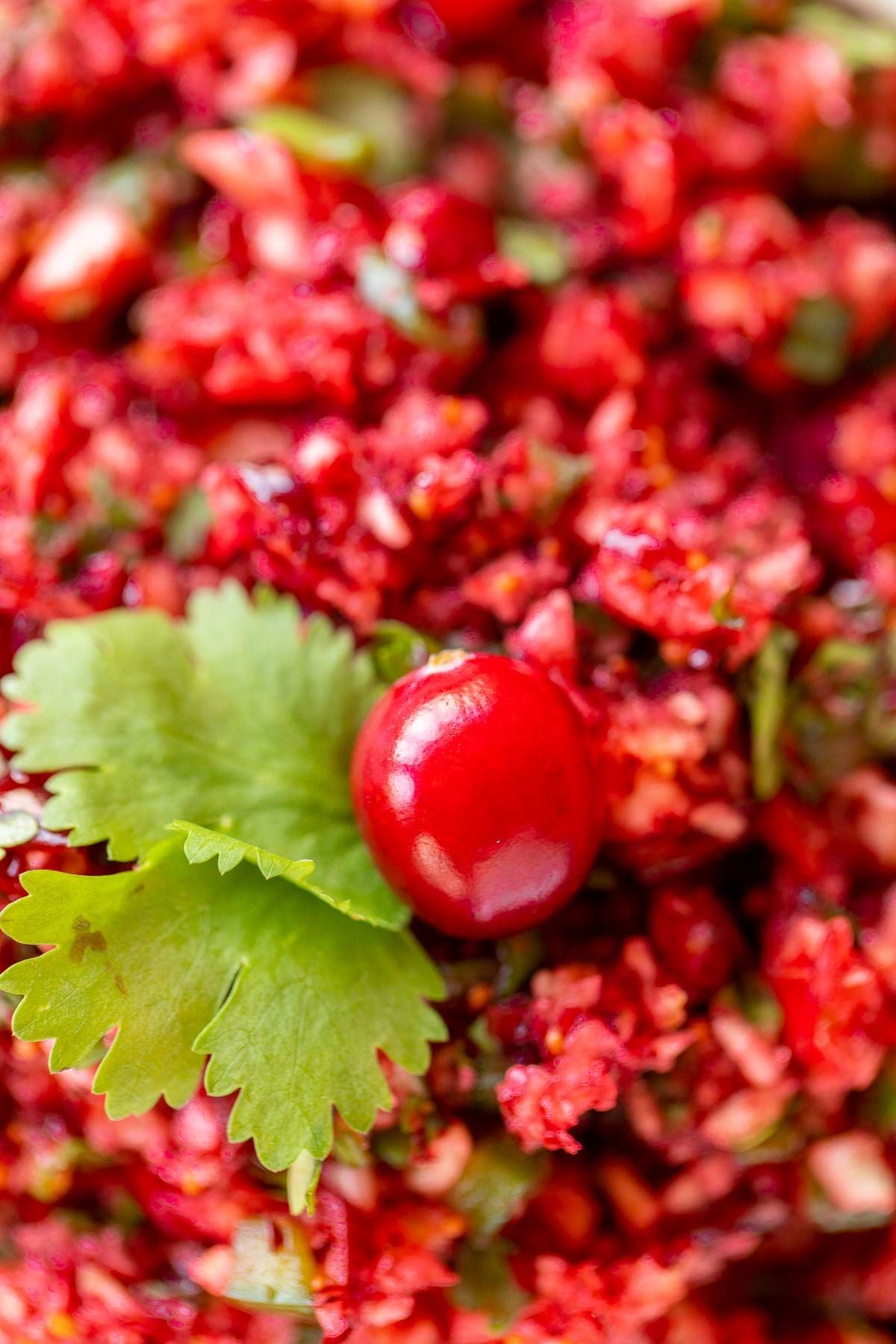 A close up of a cranberry salsa recipe
