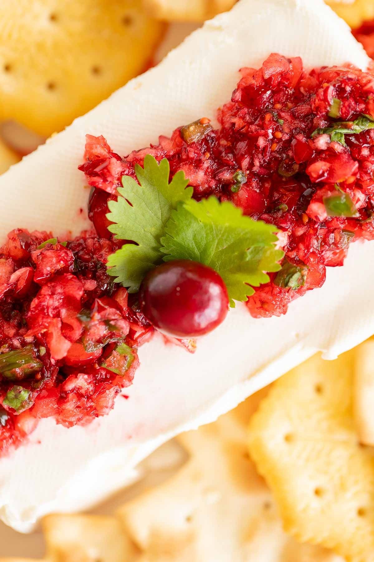 A platter of crackers surrounding cranberry salsa on a block of cream cheese