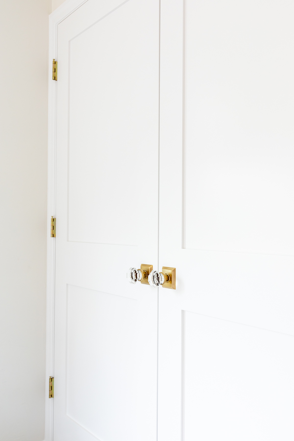 A closed white door, painted to perfection with brass handles, for an elegant interior.