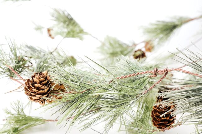 Pine Garland Shopping Guide | Julie Blanner