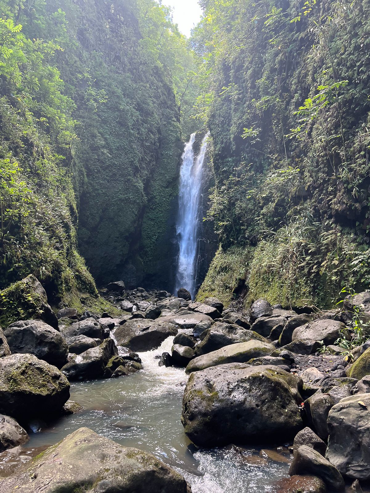 A waterfall on the road to hana
