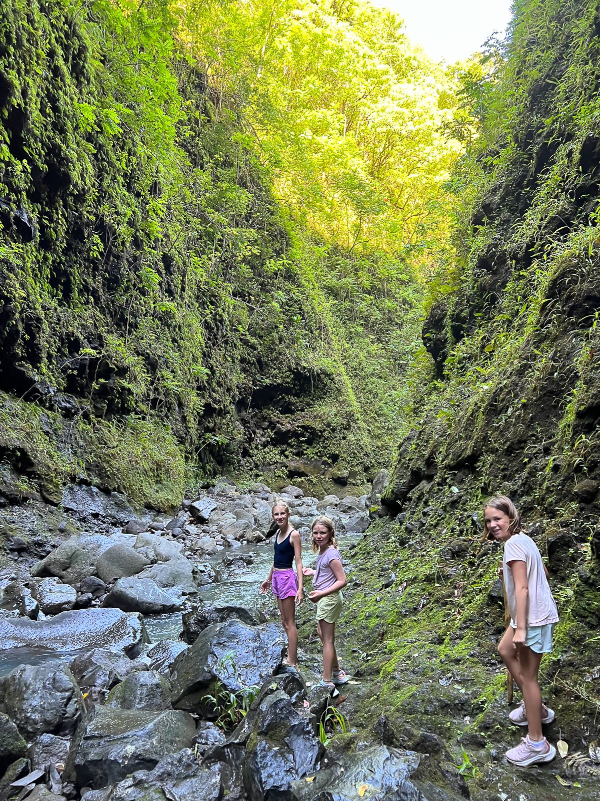 Little girls on a hike on Maui, the best Hawaiian island for families