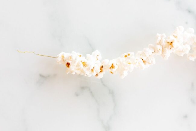 Popcorn Garland | Julie Blanner