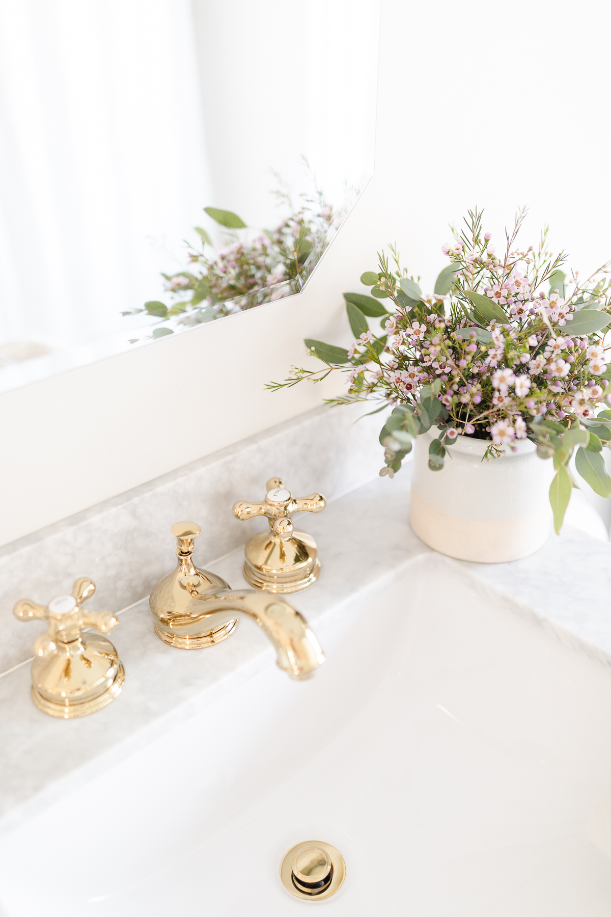 A bathroom sink with brass faucets and a potted plant.