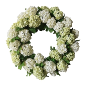 White hydrangea wreath on a white background, perfect for spring.