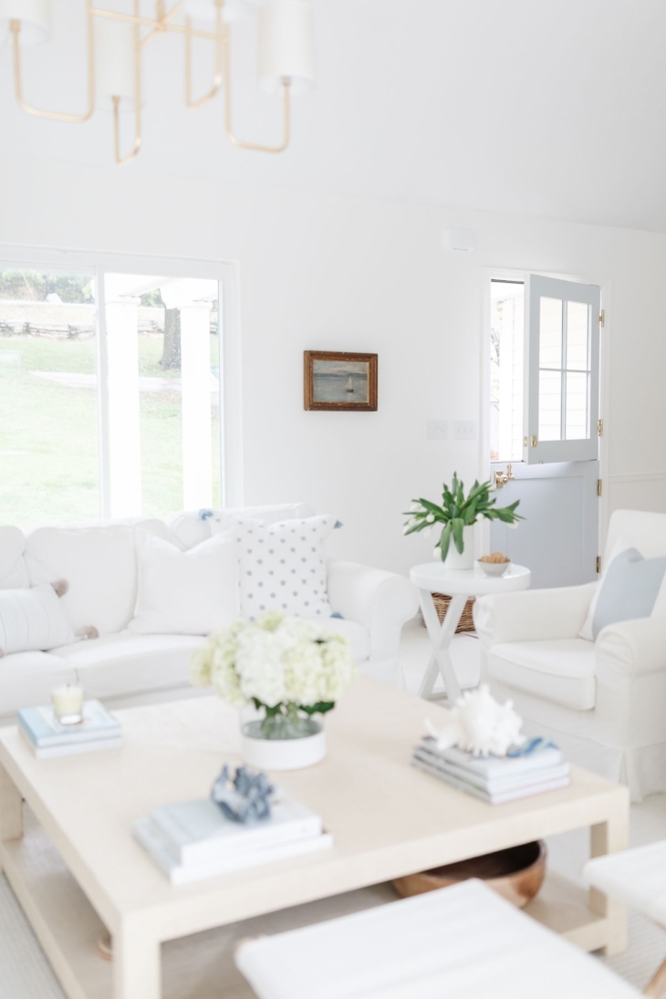 Modern Coastal Living Room Inspiration | Julie Blanner