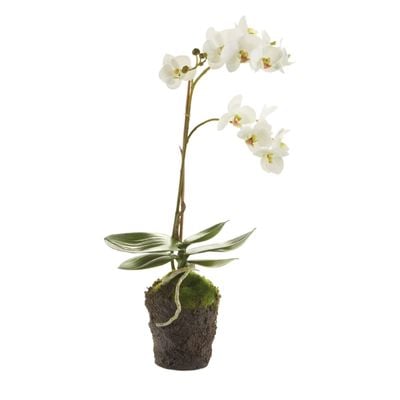 a white faux flower orchid in a pot. 