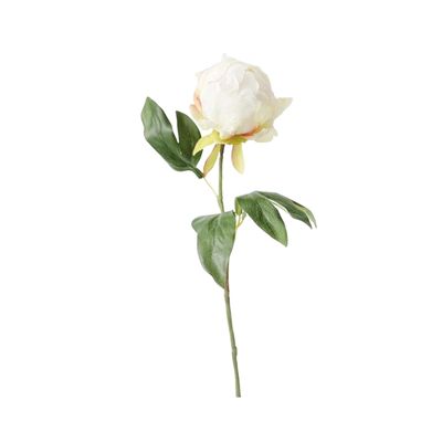 A white faux peony stem against a white background.