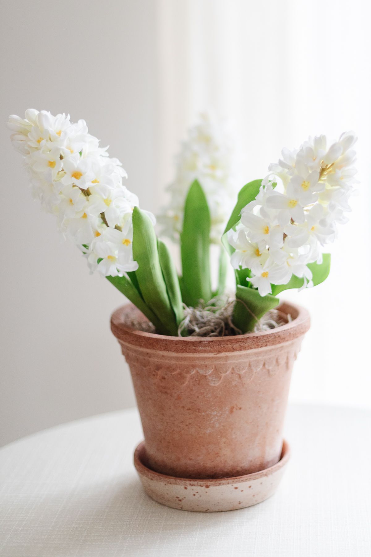 White faux flowers in a scalloped bergs pot.