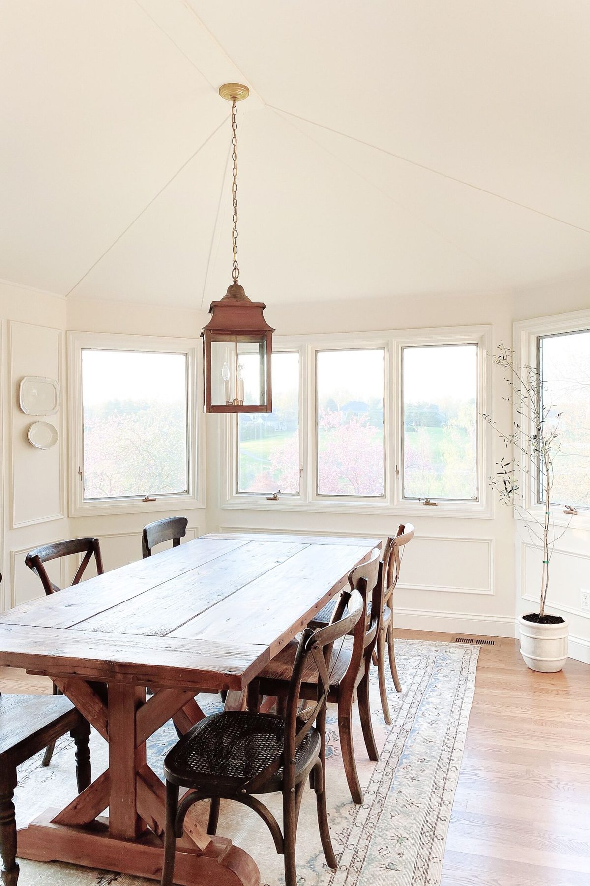 A dining room with a farm table, an olive tree in the corner, and flat paint on the ceilings, semi gloss on the walls