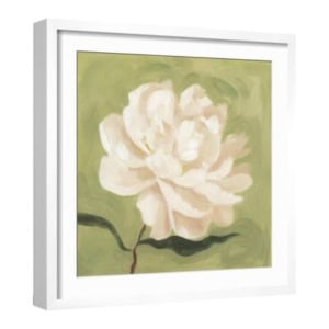 Framed painting of a single white flower with layered petals set against a green background, perfect for adding a touch of amazon art elegance to your space.