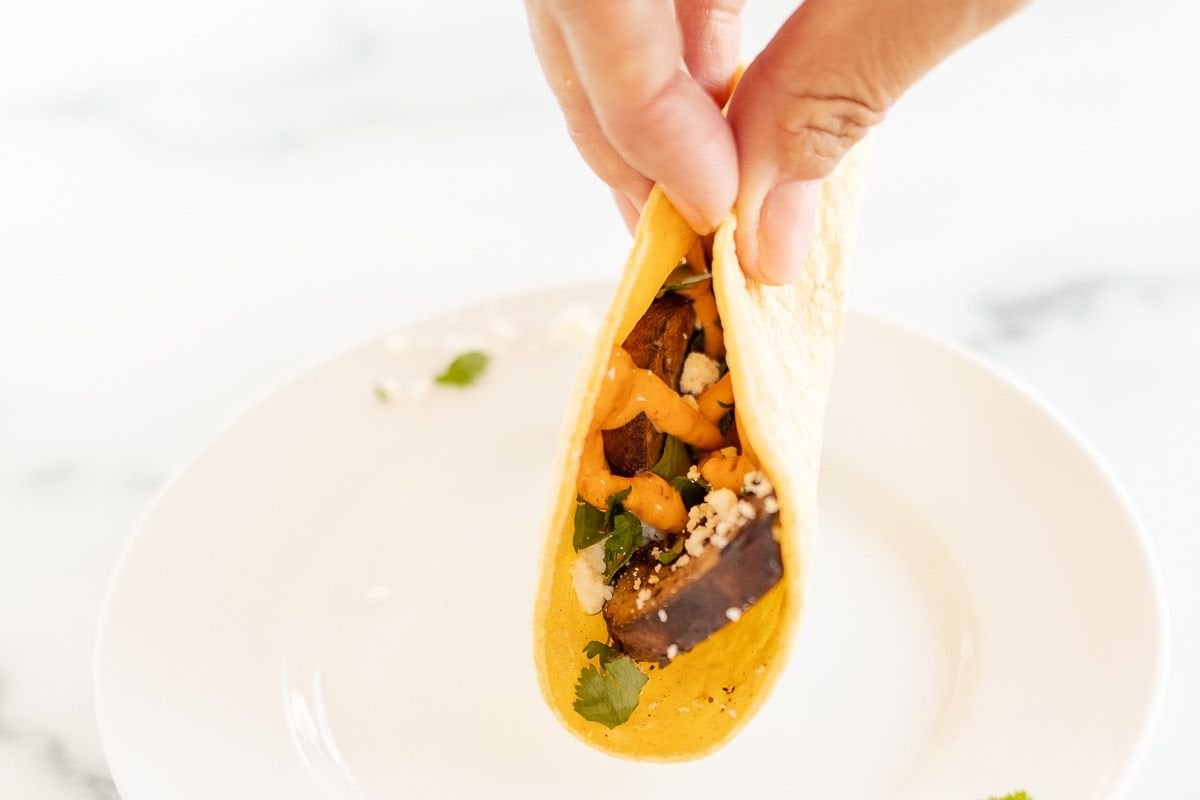 A hand holding a portobello taco in a corn tortilla over a white plate