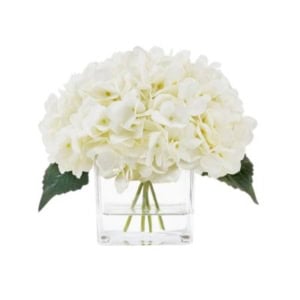 White hydrangea flowers arranged in a clear square glass vase with green leaves visible at the sides—an elegant choice for nightstand decorating.