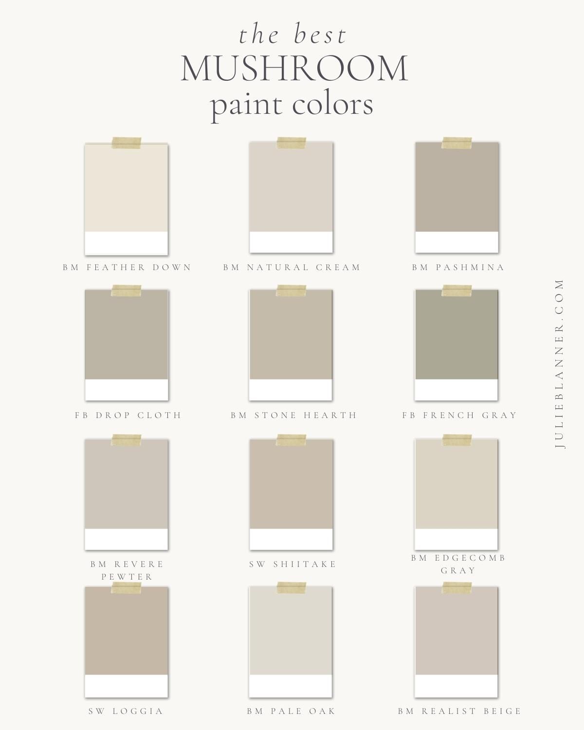 A graphic with 12 shades of mushroom paint colors