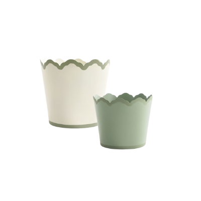 scallop planters