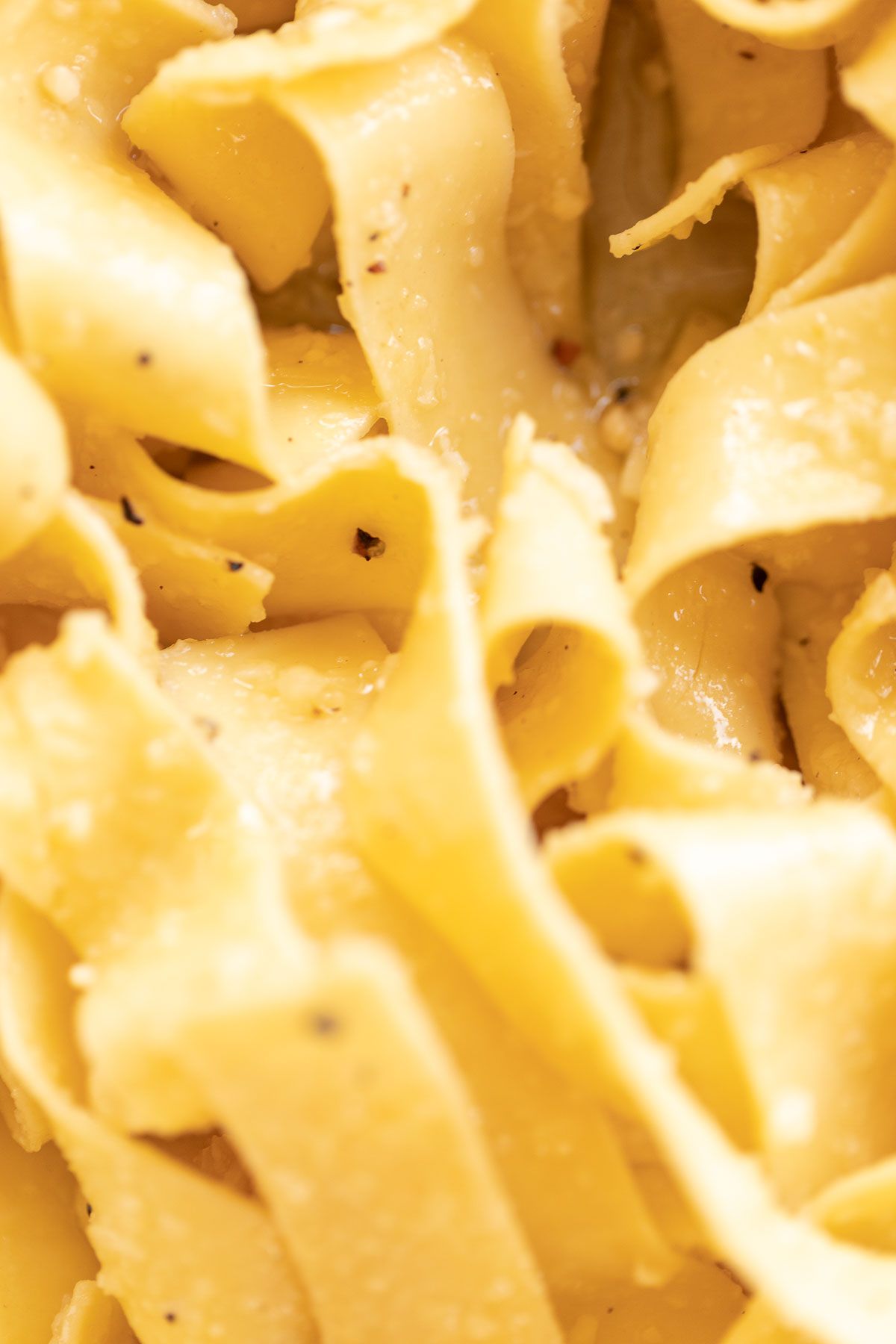 close up of pasta parmesan
