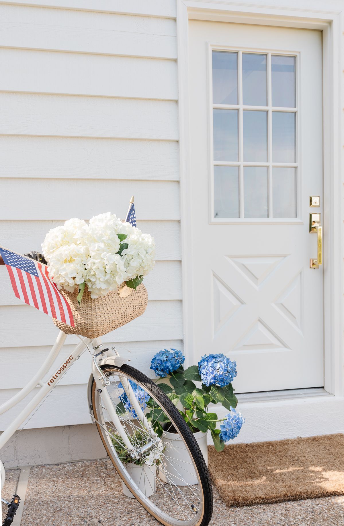 Exterior Door Handles