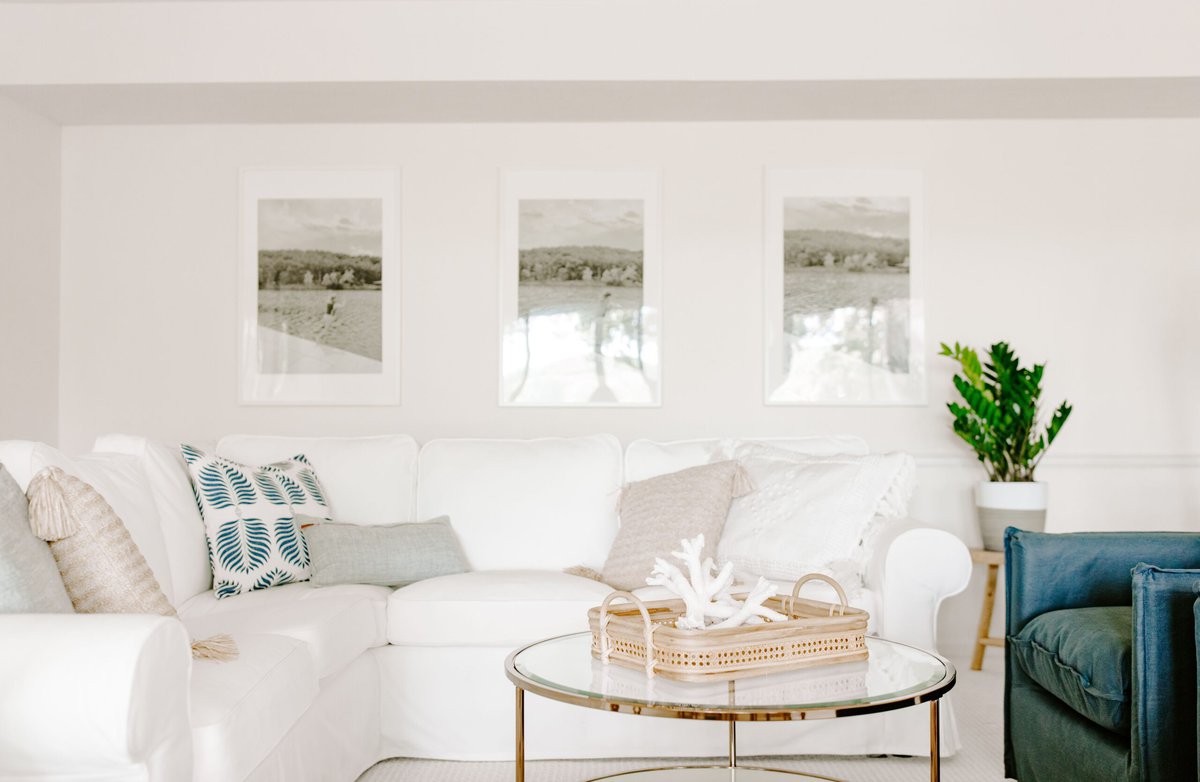 A white living room with a zz plant on a side table