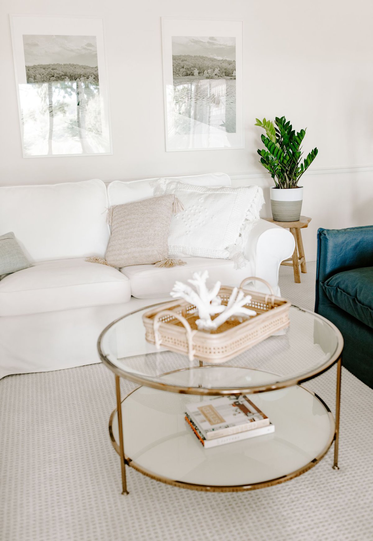 An easy care zz plant on a table in a small white modern living room