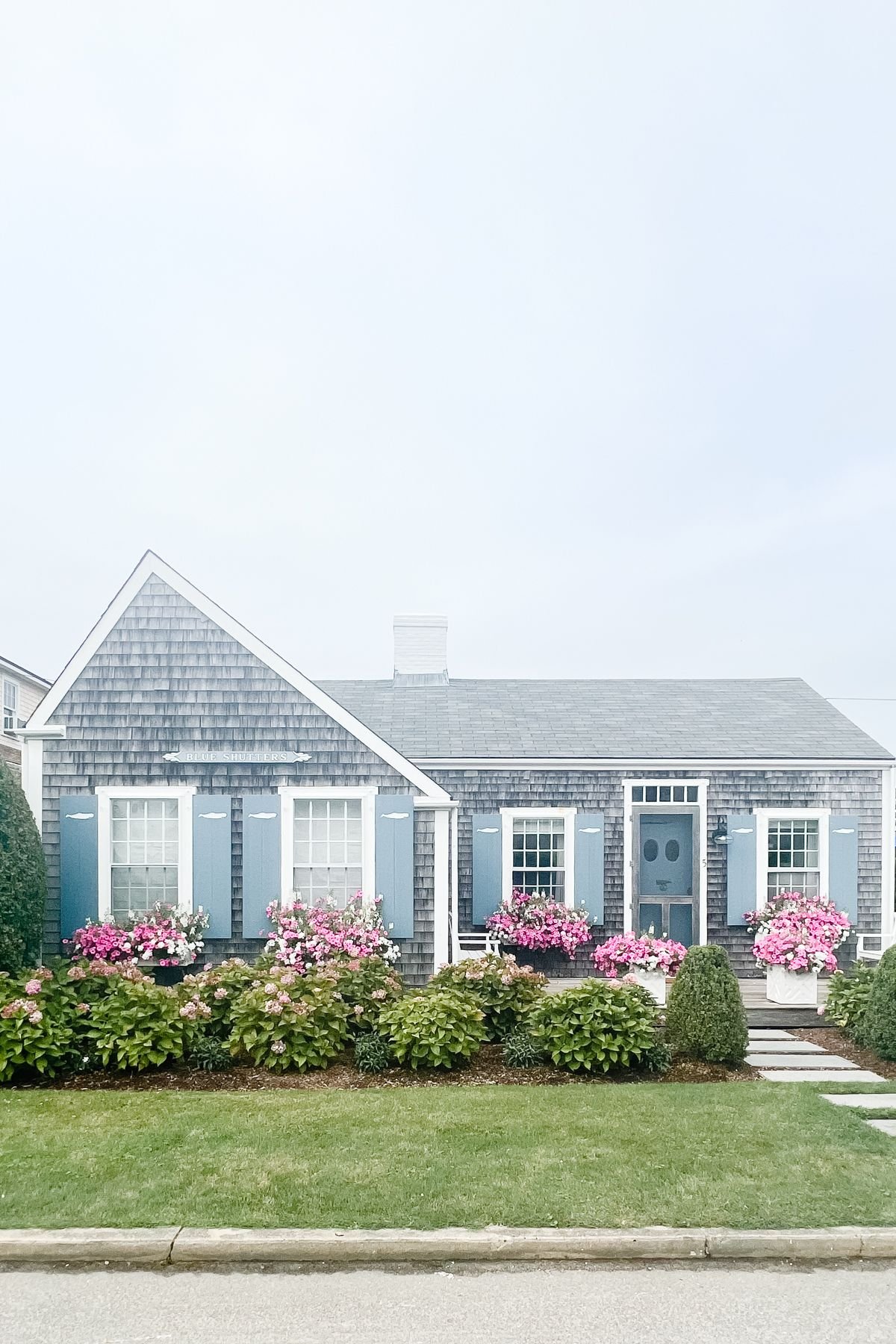 A shingled cottage with blue shutters and pink hydrangeas on the island of Nantucket