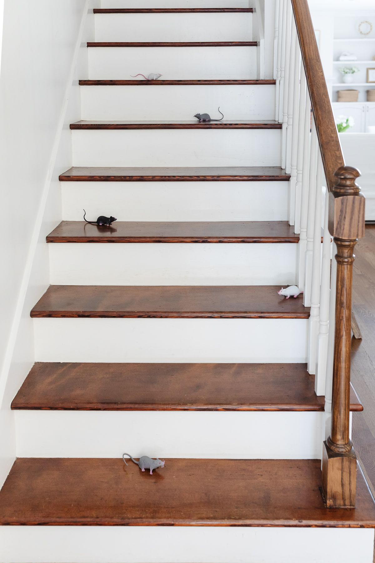 Wood and white stairs, decorated with Amazon Halloween mice
