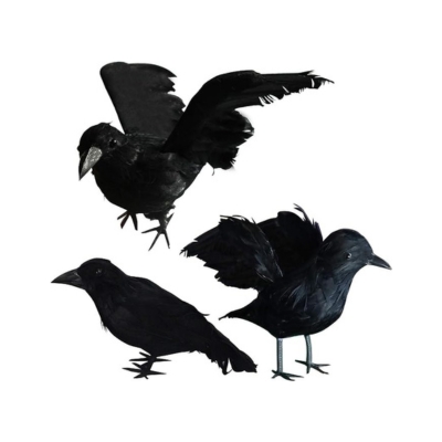 black crows as part of an Amazon Halloween shopping guide