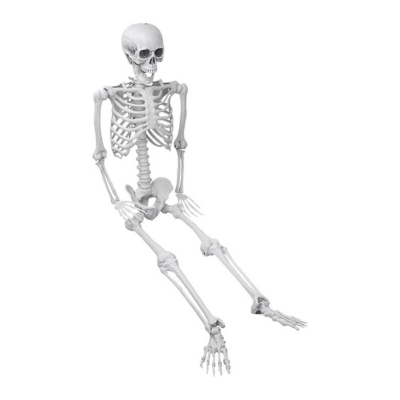 A moveable skeleton from Amazon Halloween
