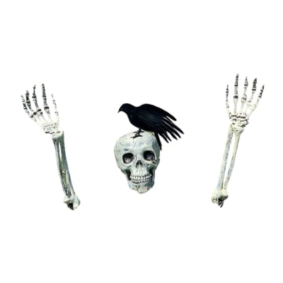A yard skeleton from Amazon halloween